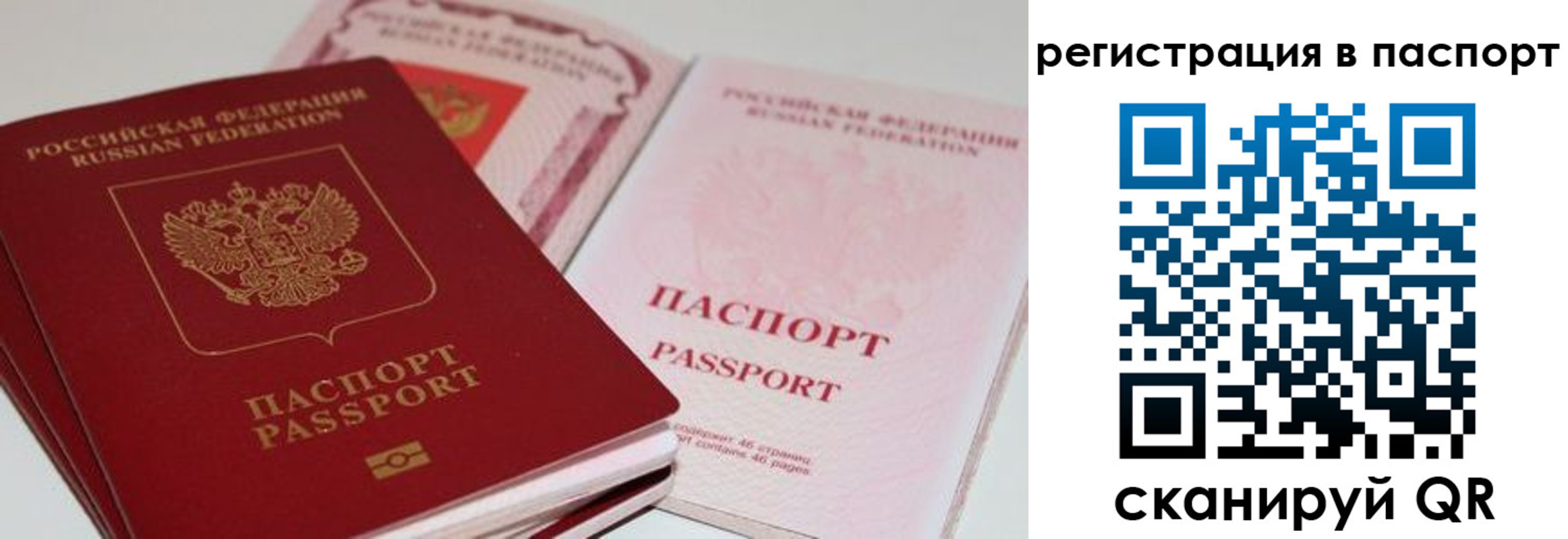 временная регистрация недорого в Козельске